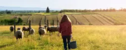 Фермерство